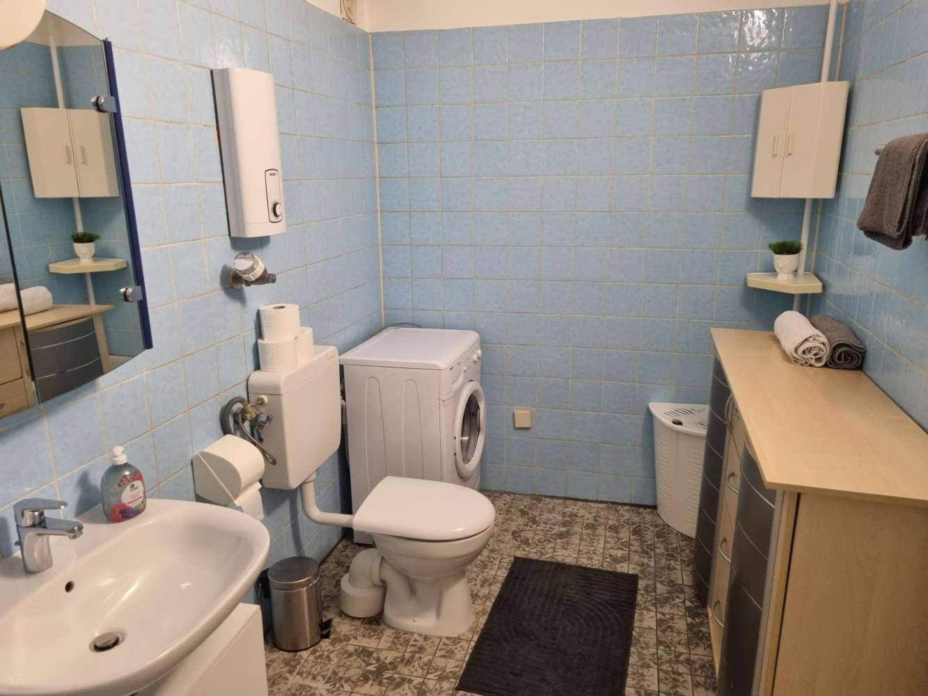 Apartments In Hattersheim Okriftel ภายนอก รูปภาพ